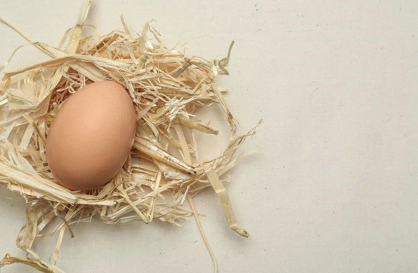 Egg Shell Membrane Egg Shell Membrane