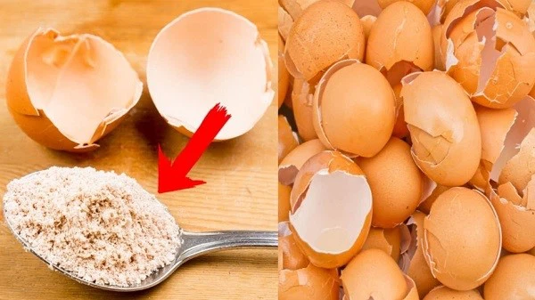 Egg Shell Membrane Powder Egg Shell Membrane Powder