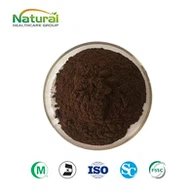 Pu Erh tea kivonat
