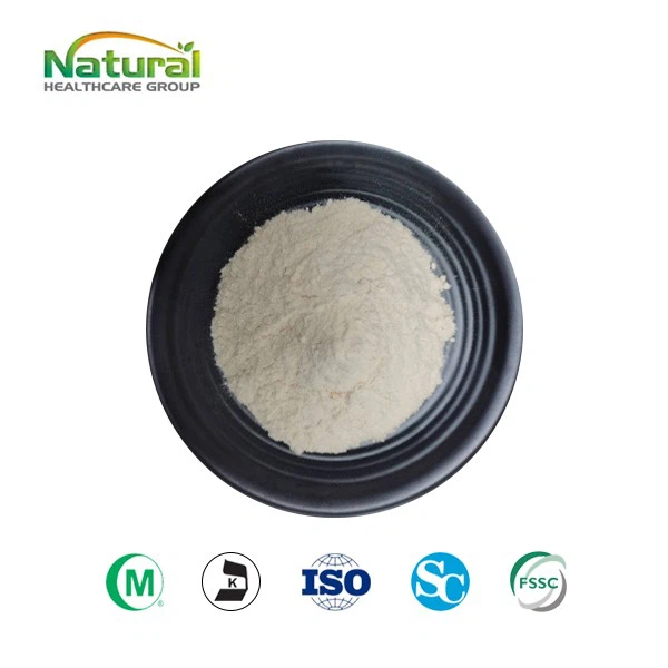 Organic Sunflower Seed Protein